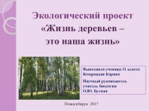 Экологический проект на тему Жизнь деревьев - эта наша жизнь
