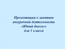Презентация к занятию внеурочной деятельности Юный биолог на тему Чёрный аист.