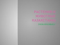 Животные и растения гор