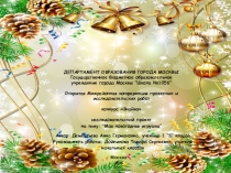 Проектная работа по теме Моя новогодняя игрушка