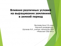 Презентация по Технологии на тему Влияние различных условий на выращивание земляники в зимний период