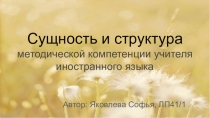Сущность и структура методической компетенции учителя иностранного языка