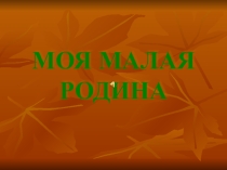 Презентация для классного часа на тему Моя малая родина