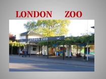 Презентація на тему LONDON ZOO