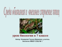 Презентация к уроку биологии Среда обитания и внешнее строение птиц (7 класс)