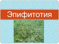 Что такое Эпифитотия