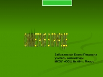 Презентация по математике на тему Симметрия в природе