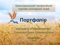 Портфолио для аттестации преподавателя истории и права