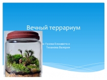Презентация по окружающему миру на тему Вечный террариум