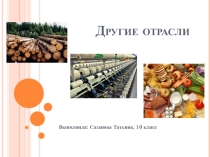 Презентация Другие отрасли промышленности