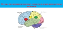 Презентация по методам исследования мозговых структур