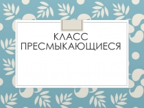 Презентация по биологии: Класс пресмыкающиеся
