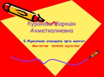 Презентация Митоз-жыныссыз көбенюдің негізі