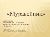 Презентация учащихся 5 класса по биологии Муравейник