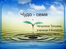 Презентация проекта Чудо- семя