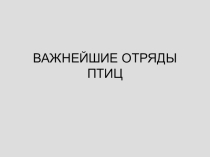 Презентация по биологии на тему: Важнейшие отряды птиц