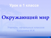 Презентация окружающий мир 1 класс