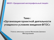 Организация проектной деятельности учащихся в условиях введения ФГОС