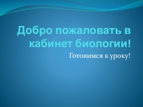 Наземно-воздушная среда