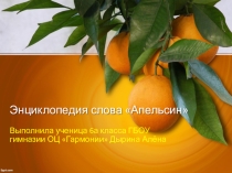 Презентация исследовательской работы Энциклопедия слова Апельсин