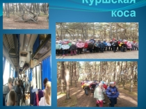 Презентация по экологической поездке