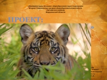 Проект Большие кошки по предмету Окружающий мир