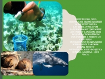 Презентация Как мы дышим