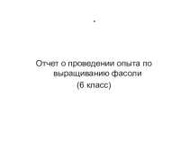 Отчет о проведении опыта по выращиванию фасоли