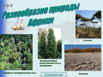 Презентация Разнообразие природы Африки 7 класс