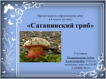 Презентация по окружающему миру Сатанинский гриб (4 класс)