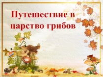 Путешествие в царство грибов