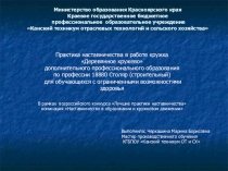 Презентация Творческий проект Лошадка