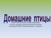 Презентация к предмету Окружающий мир Домашние птицы 4 класс