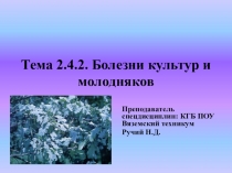 Презентация по специальной дисциплине Общие сведения о болезнях леса