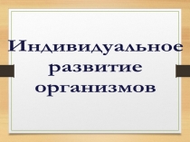Презентация Индивидуальное развитие организмов