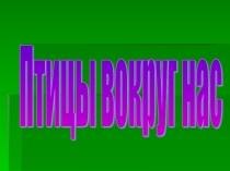 Презентация Птицы вокруг нас