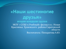 Презентация для второй младшей группы  Наши шестиногие друзья
