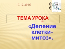 Конкурсный урок Деление клетки - митоз