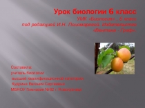 Презентация к уроку Плоды. Строение и значение плодов