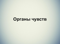 Презентация  Органы чувств