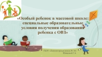 Особый ребенок в массовой школе: специальные образовательные условия получения образования ребенка с ОВЗ
