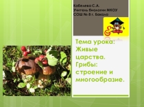 грибы