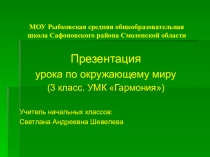 Окружающий мир (презентация к уроку)