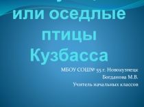 Презентация по окружающему миру Растения и животные Кемеровской области