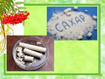 Презентация по биологии на тему Клетка