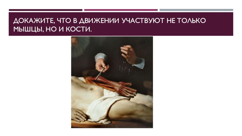 Скелет. Строение, состав и соединение костей. Скелет головы Докажите, что в движении участвуют не только мышцы, но и кости. Докажите, что в движении участвуют не только мышцы, но и кости.