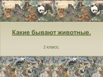 Презентация к уроку окружающего мира для 2 класса по теме Какие бывают животные?