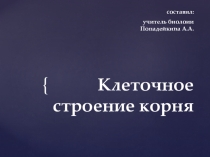 КЛЕТОЧНОЕ СТРОЕНИЕ КОРНЯ (6 класс)