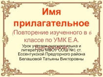 Имя прилагательное. Повторение изученного в 6 классе. (По УМК Е.А. Быстровой)