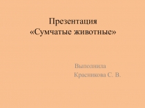 Презентация Интересные факты о жизни сумчатых животных.